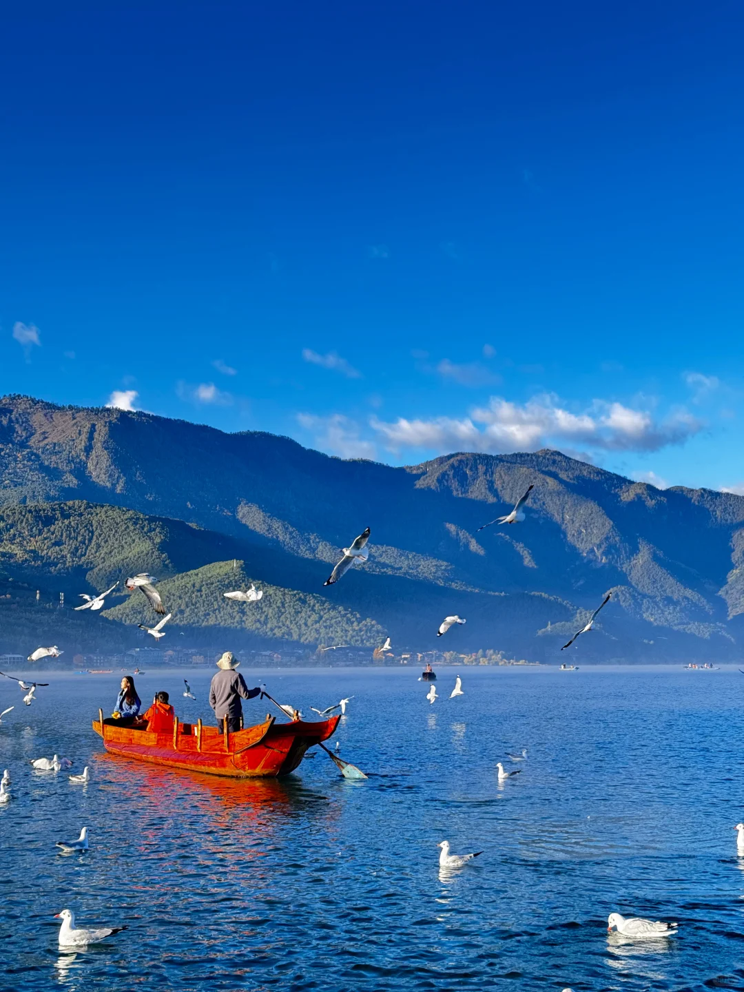 11.10📍泸沽湖已回，美疯了🤩要来的不劝退……