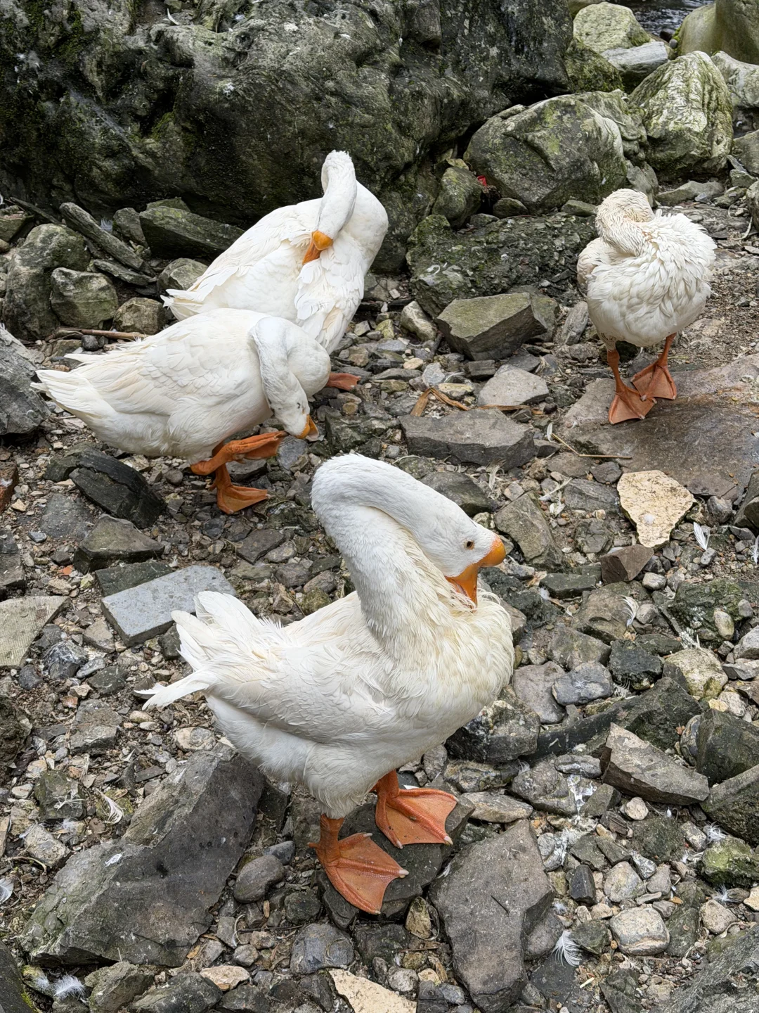 上海➡️宜昌｜美食攻略✨干饭兵集合！