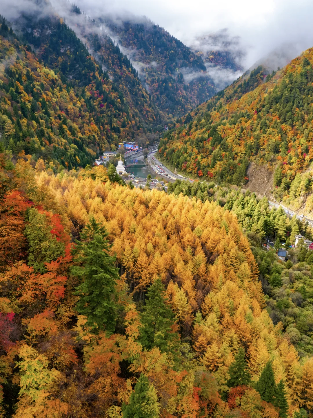 比九寨沟丰满20倍，这里的彩林是亚洲之蕞