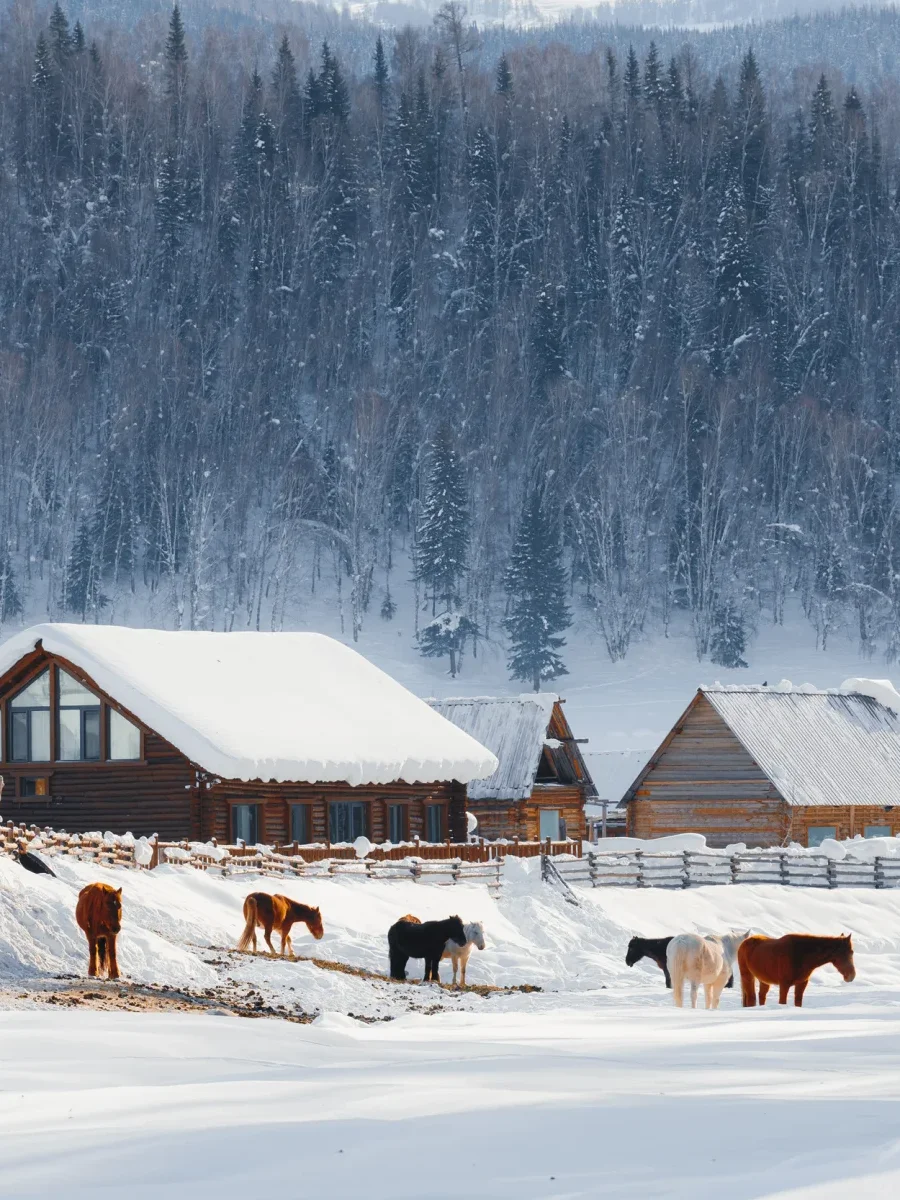 11-12🈷的新疆，将迎来封神级别的冬天