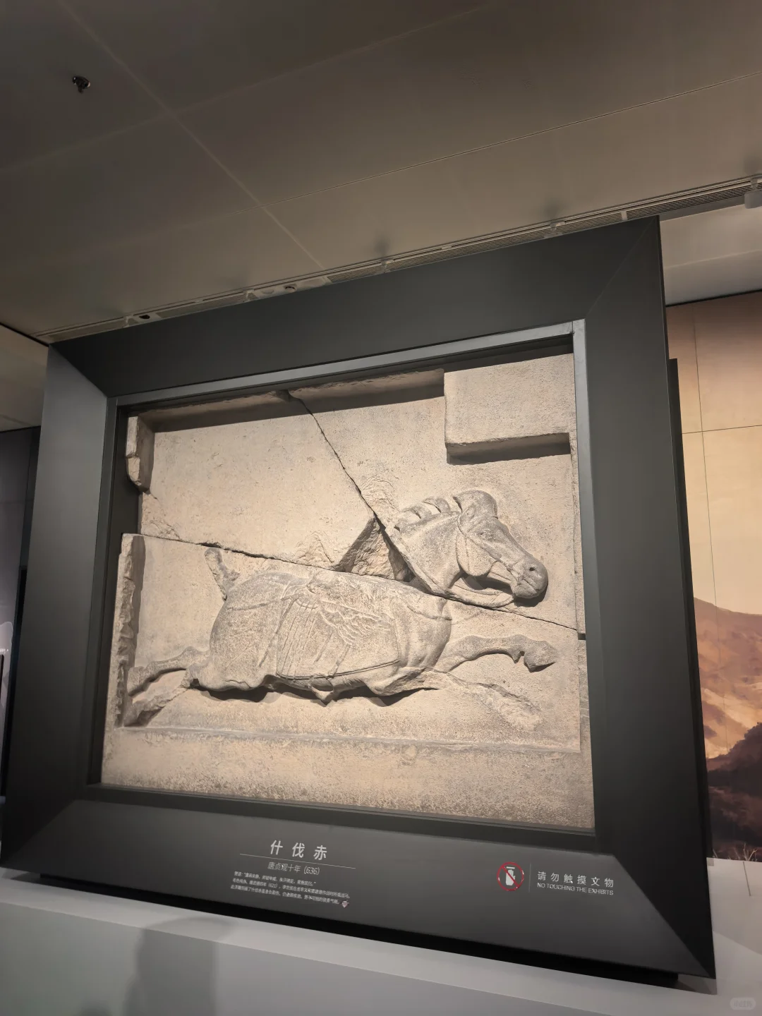 碑林博物馆半日游