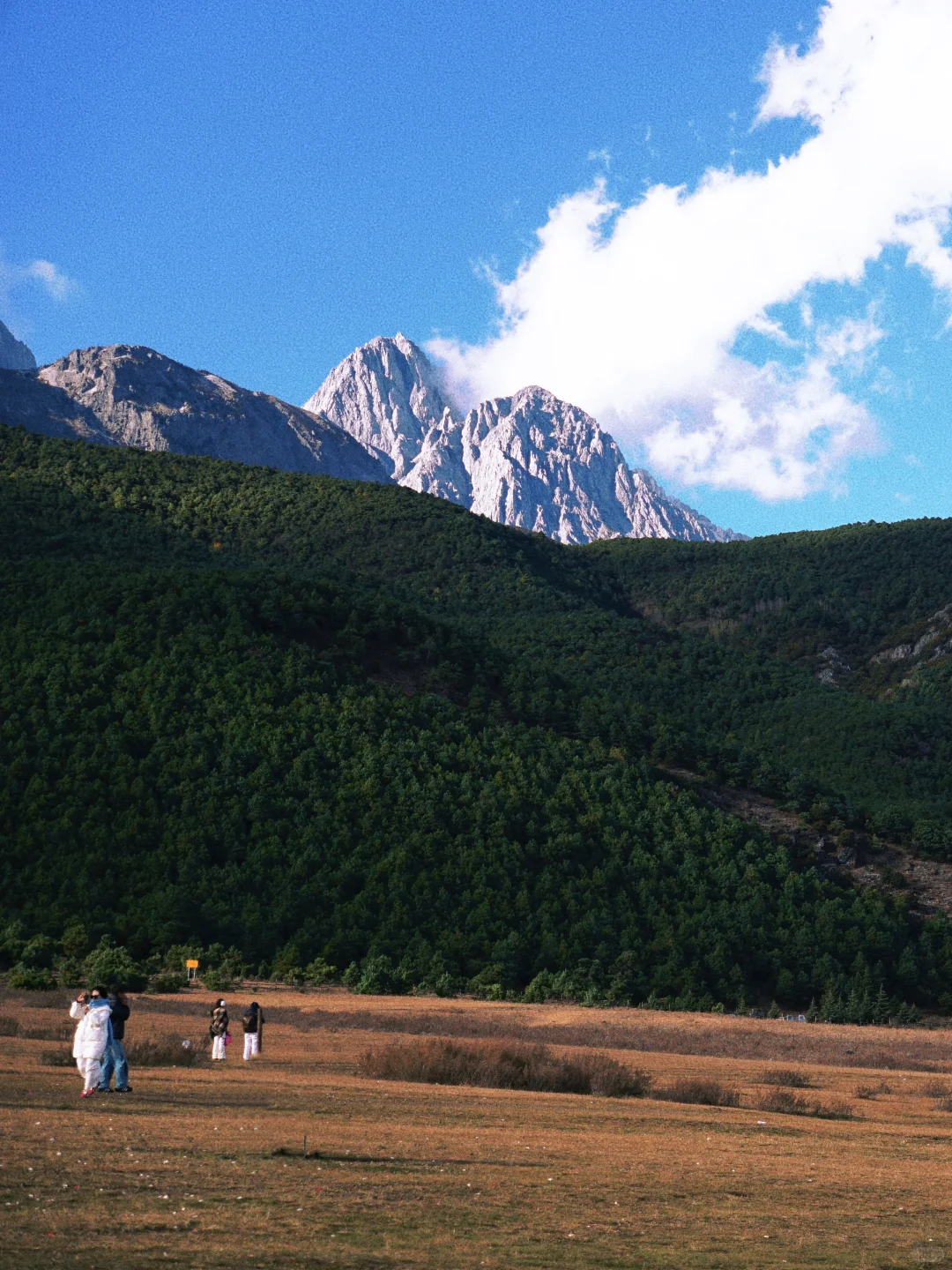 玉湖村避雷！掏心窝子攻略！
