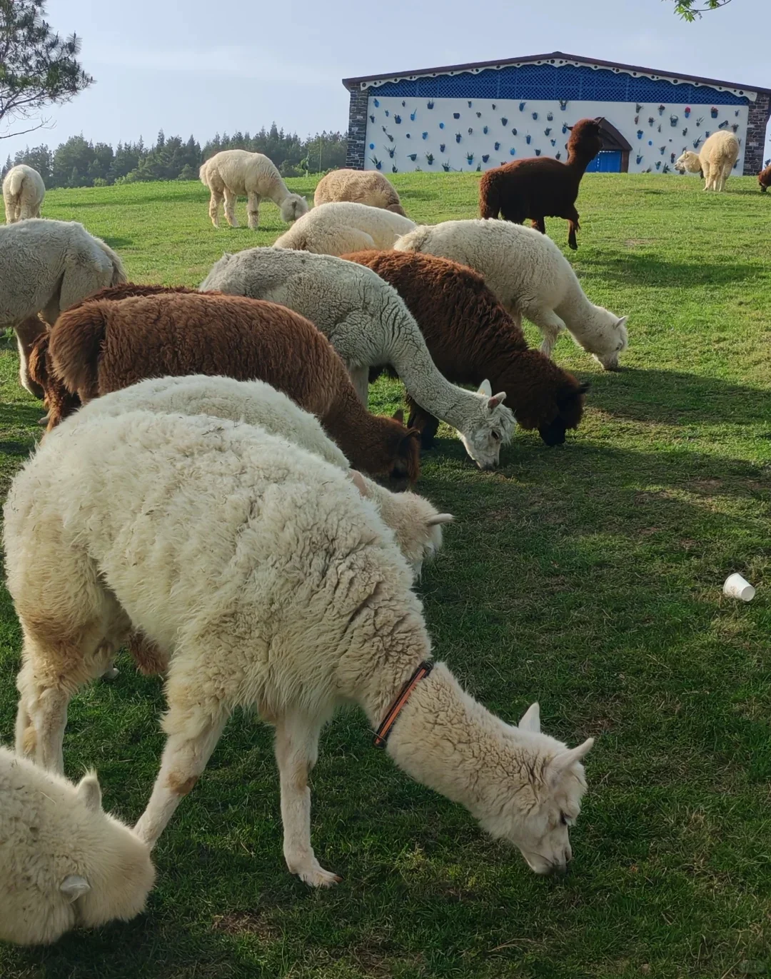 首尔自由行攻略|解锁韩剧同款 citywalk