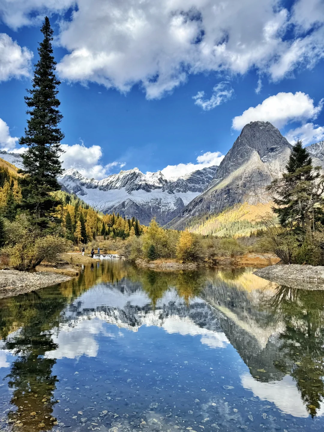 实拍live!此刻的川西简直就是人间理想🍂