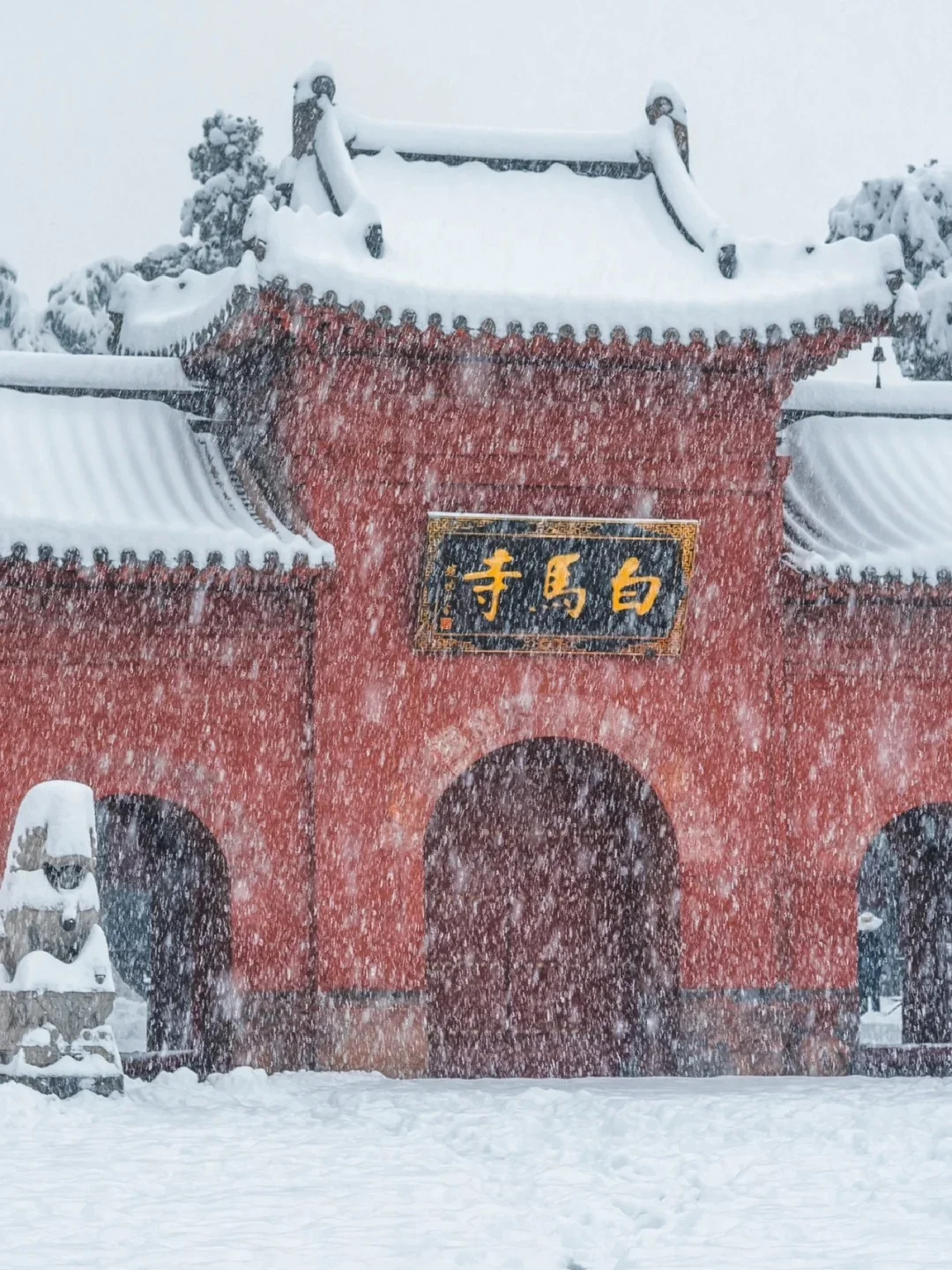 【洛阳旅游攻略 | 学生党自由行】