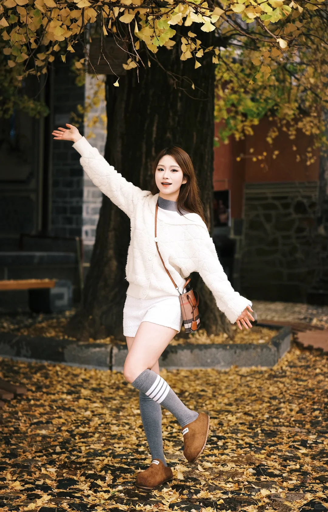 🍁在大理银杏小众景点我拍到了“北平的秋”✨