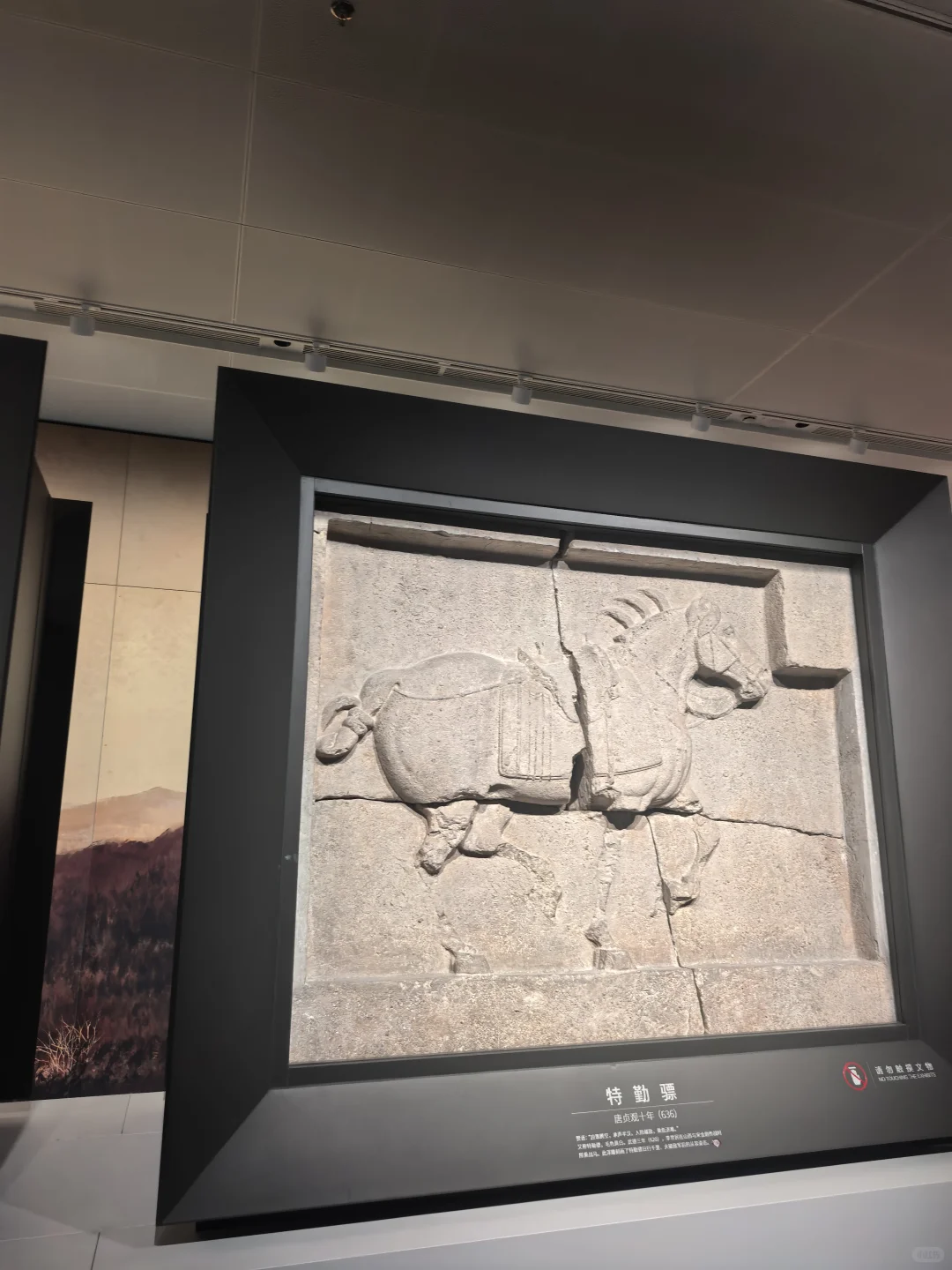 碑林博物馆半日游