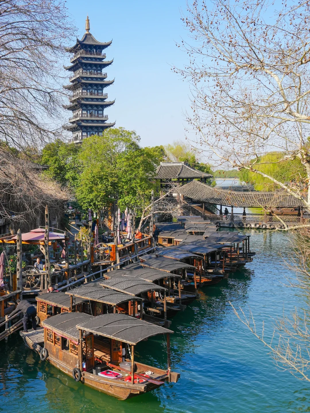 🌿一个人去乌镇太爽了！独行侠的治愈攻略