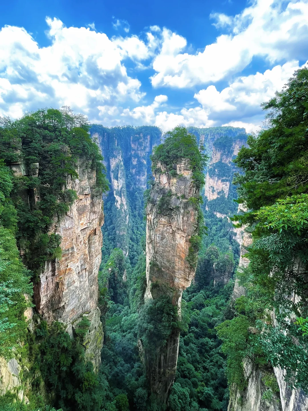 📍𝒛𝒉𝒂𝒏𝒈 𝒋𝒊𝒂 𝒋𝒊𝒆 ᨏ҉ᨏ ོ