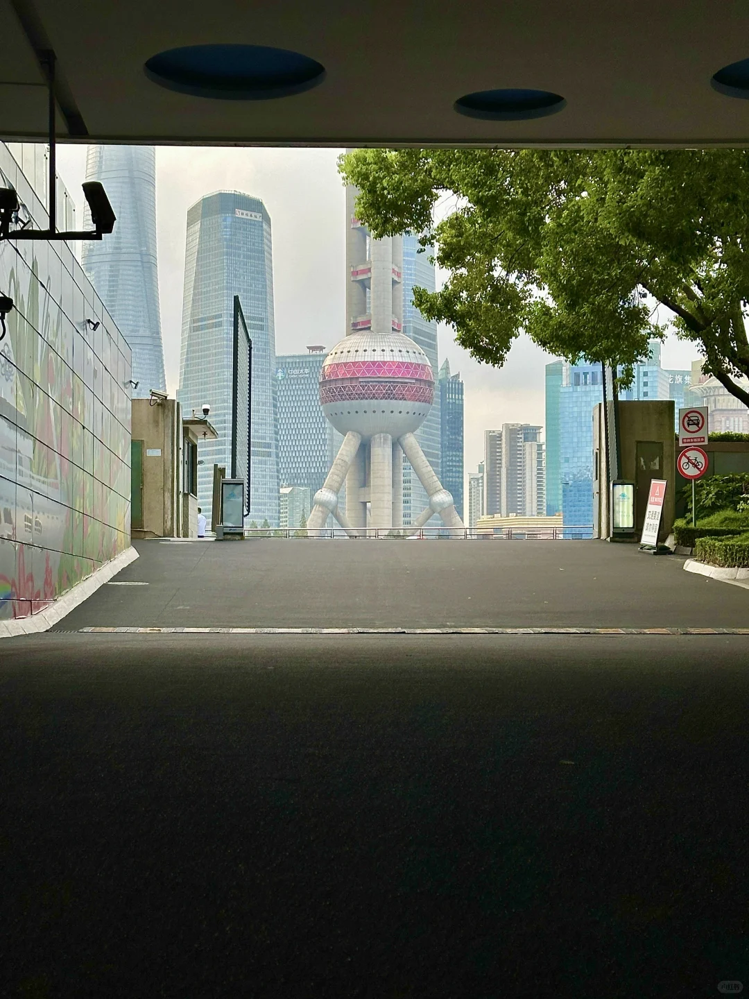 上海最好的地方都是免费的。。。。。🥹🥹