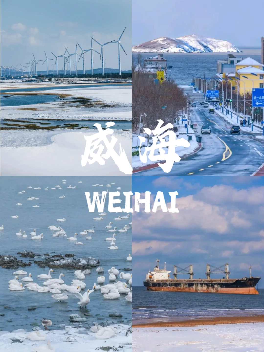 冬日威海|体验一半是海、一半是雪的浪漫