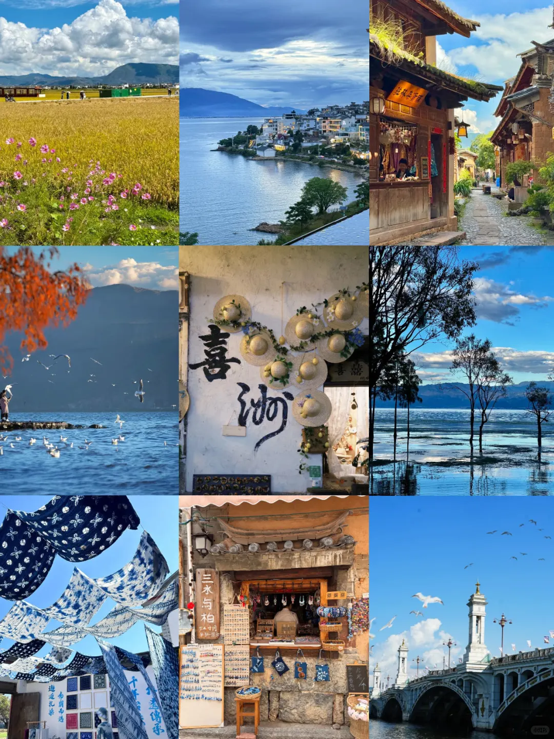 淡季去大理这些景点千万别去...真难玩😭