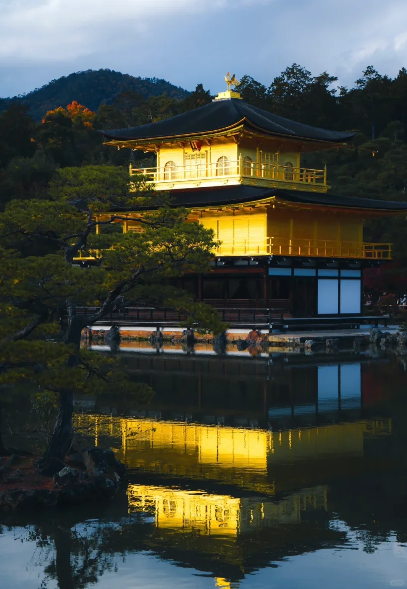 京都包车一日游｜轻松暴走5大景点不赶趟