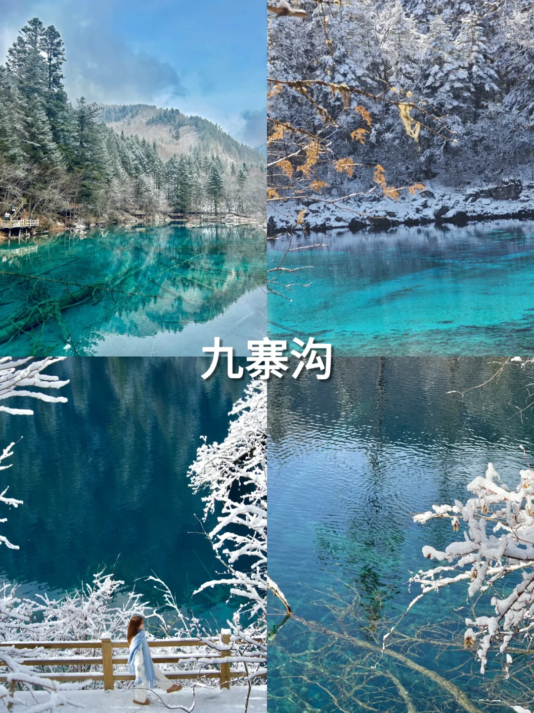 人生忠告❗九寨沟要这么玩才不亏