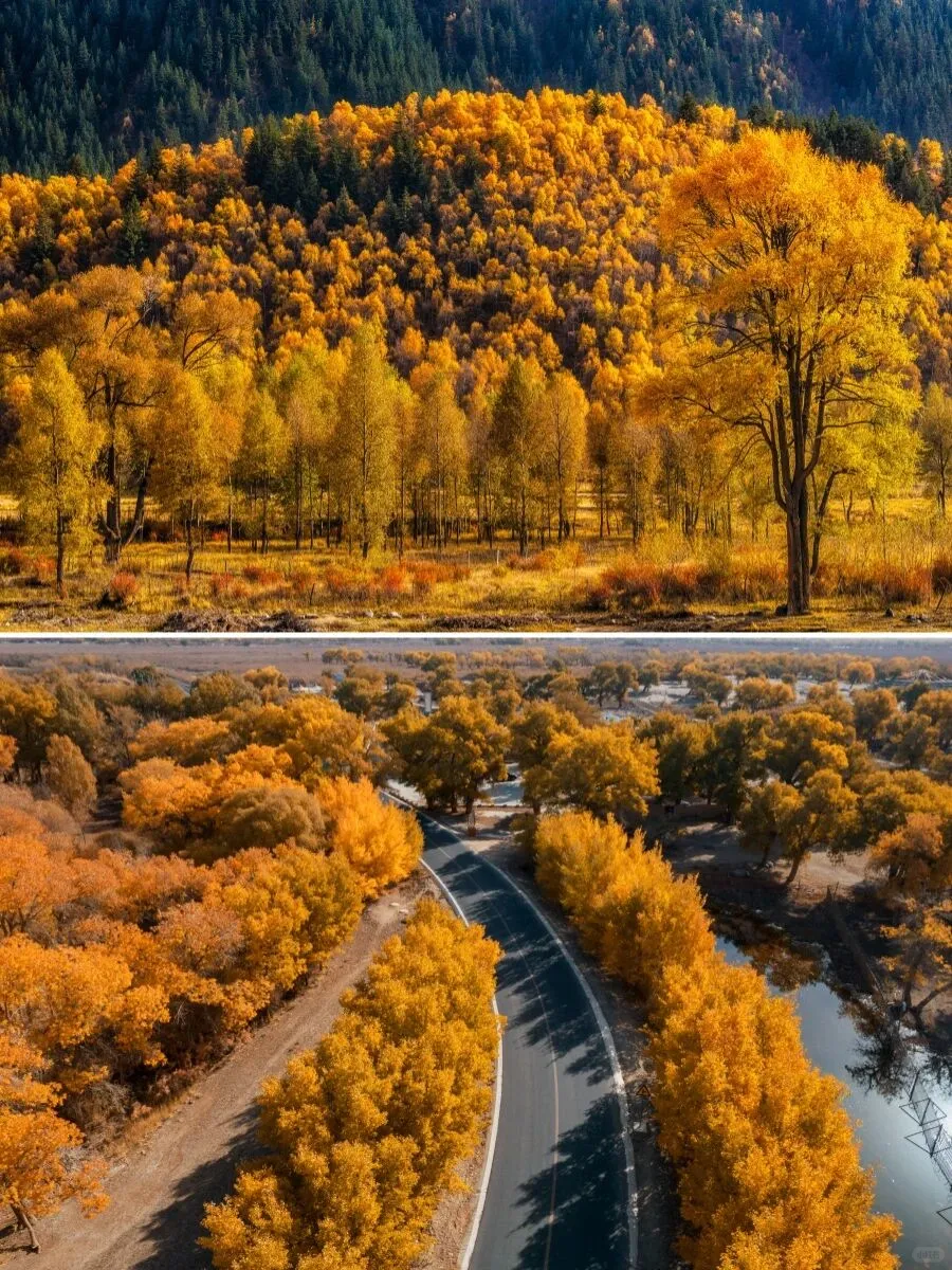 下一个爆款秋日旅行地！不是新疆！超出片！