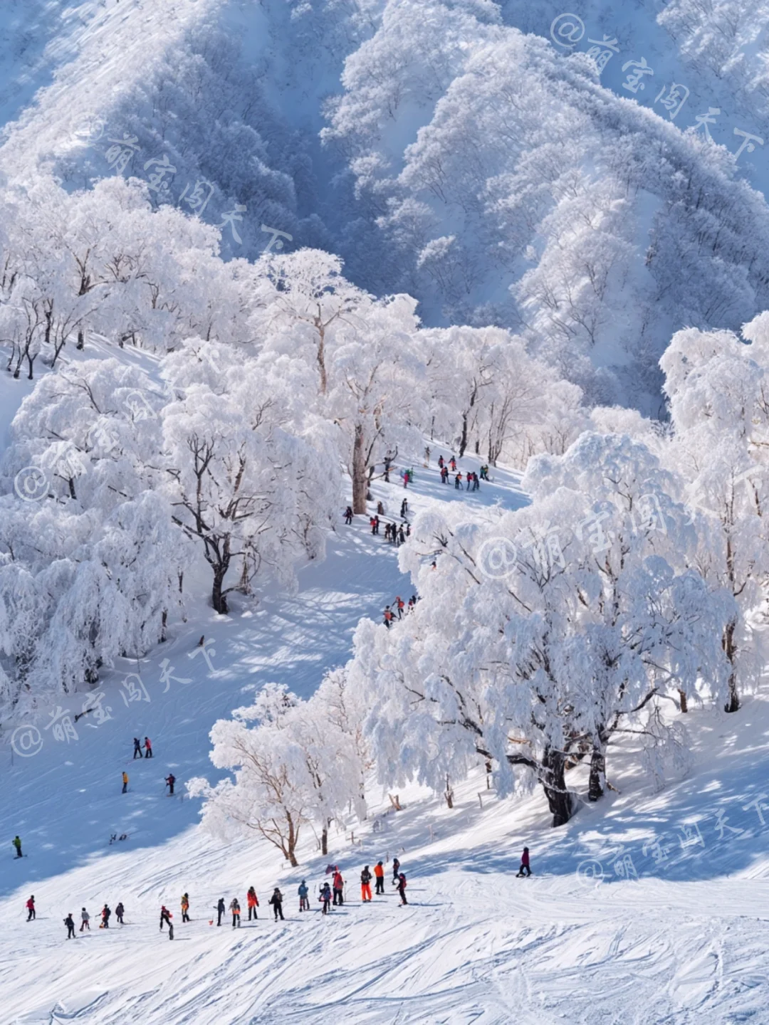 广东带娃勇闯神农架，实用攻略之🏂滑雪篇