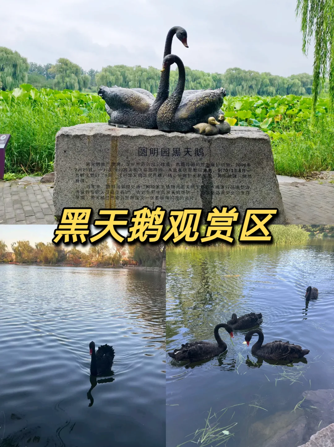 北京一日游三大景点，走路少快乐多✅