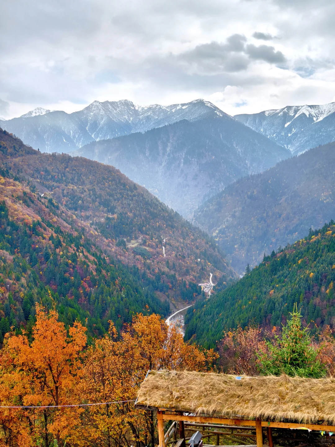 比九寨沟丰满20倍，这里的彩林是亚洲之蕞