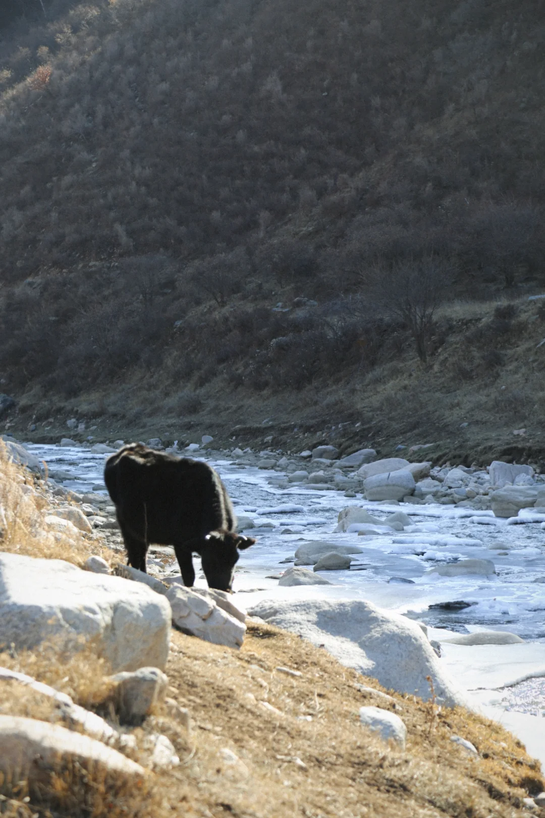 #内蒙古呼和浩特📍看雪玩雪实图攻略