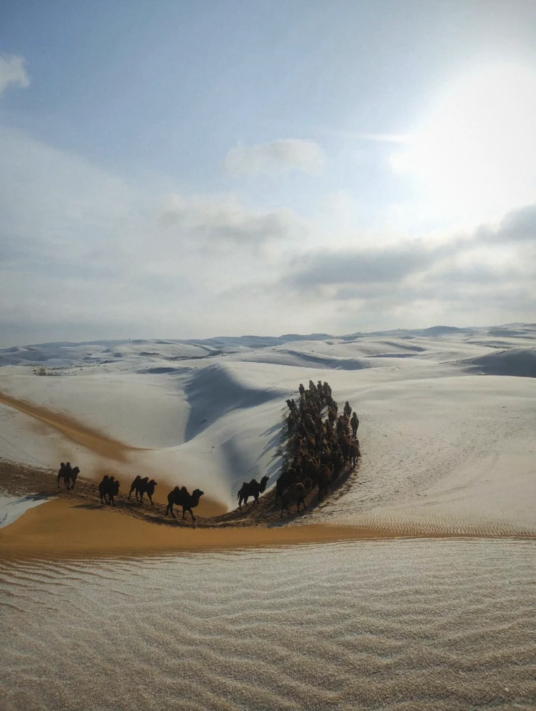#内蒙古呼和浩特📍看雪玩雪实图攻略