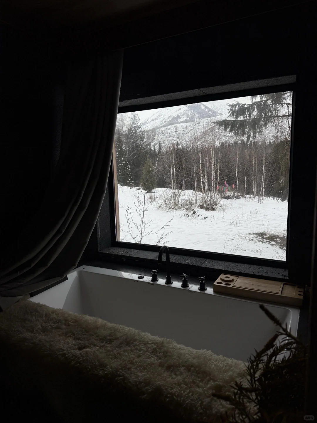 大力推荐我和女朋友报的新疆当地团（不是托