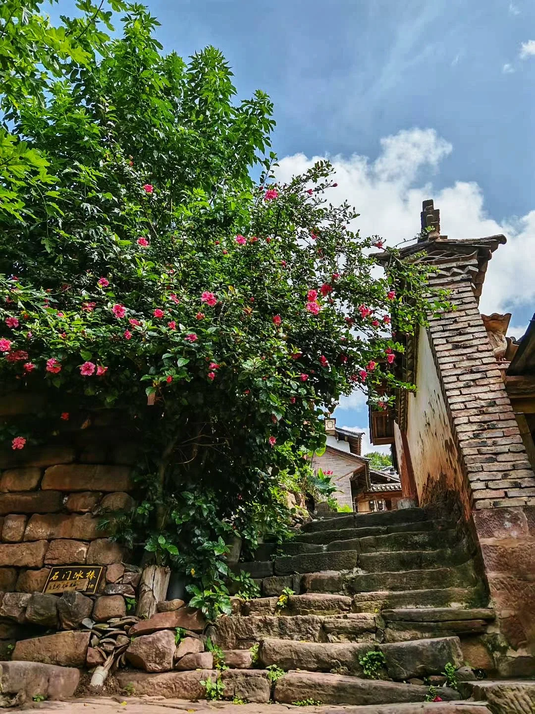 可能要去到大理才算爱的认真❤️