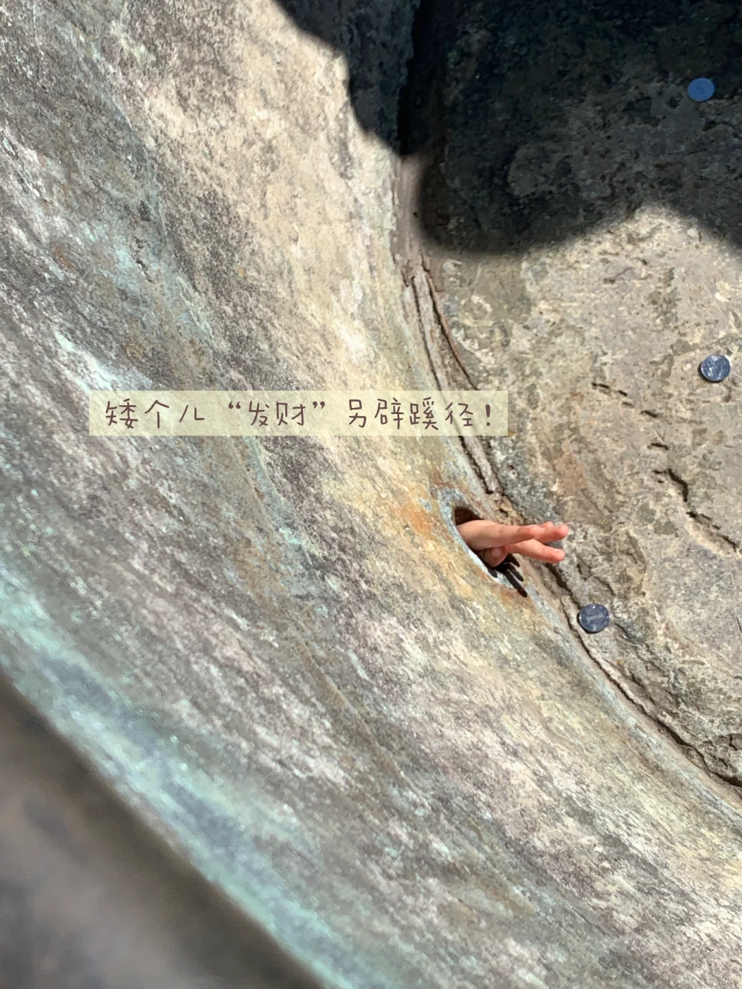 天坛的古松林，漫溢的秋意与松影