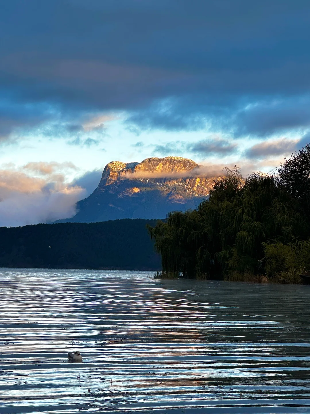 11.10📍泸沽湖已回，美疯了🤩要来的不劝退……