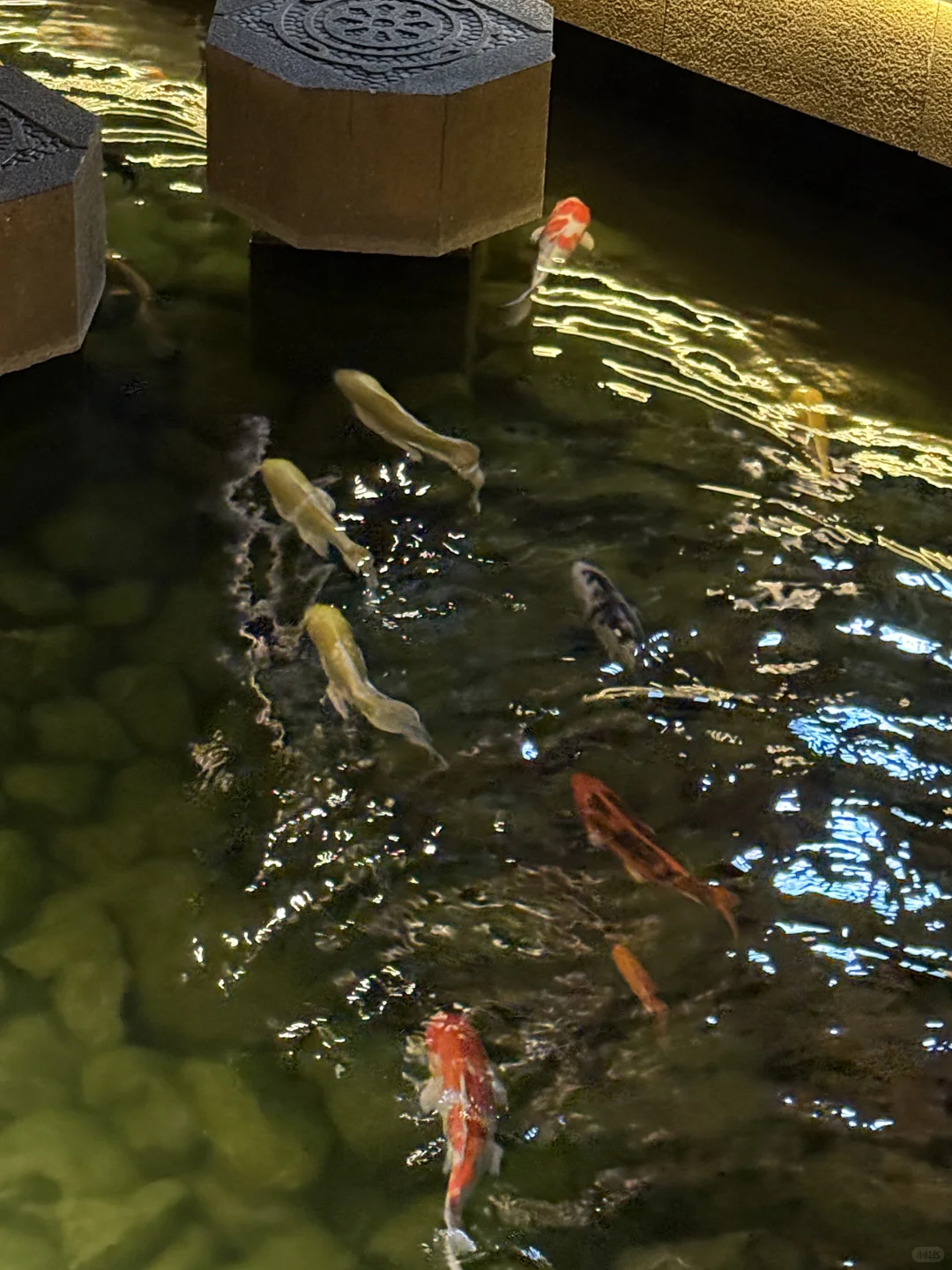 来长沙旅游必吃的一家庭院湘菜！！！