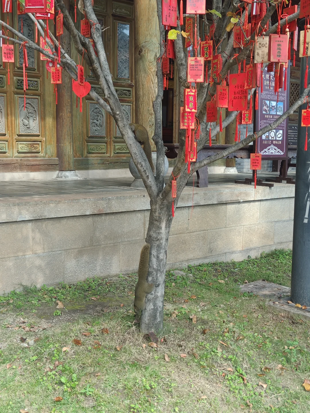 商业街中的古城