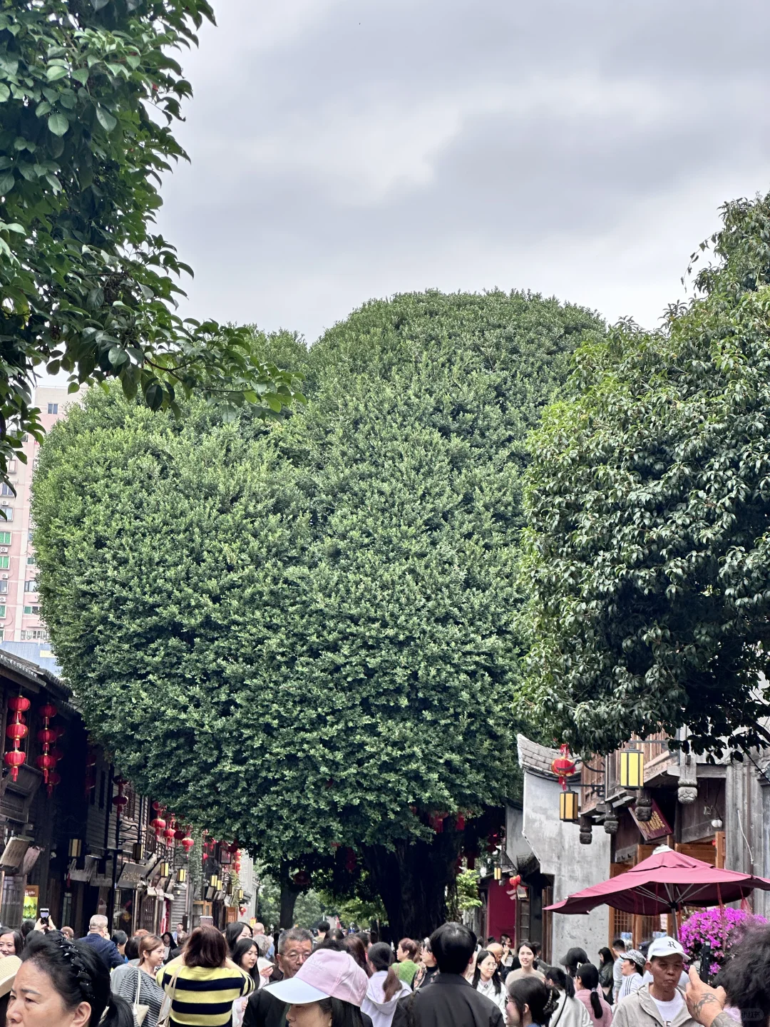 旅游第四天-来福州喽