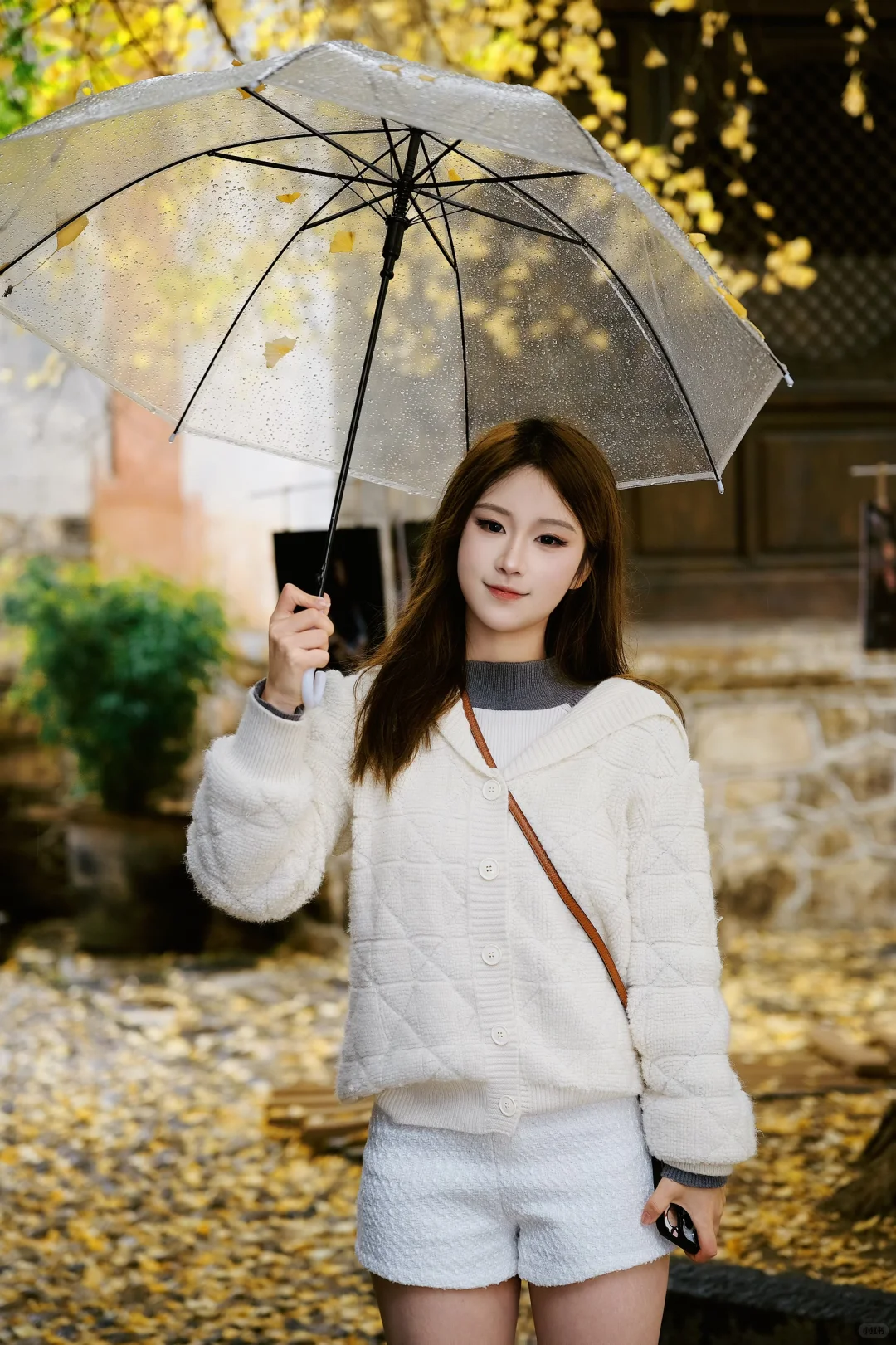 🍁在大理银杏小众景点我拍到了“北平的秋”✨