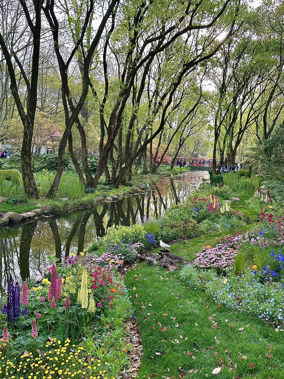 上海最好的地方都是免费的。。。。。🥹🥹