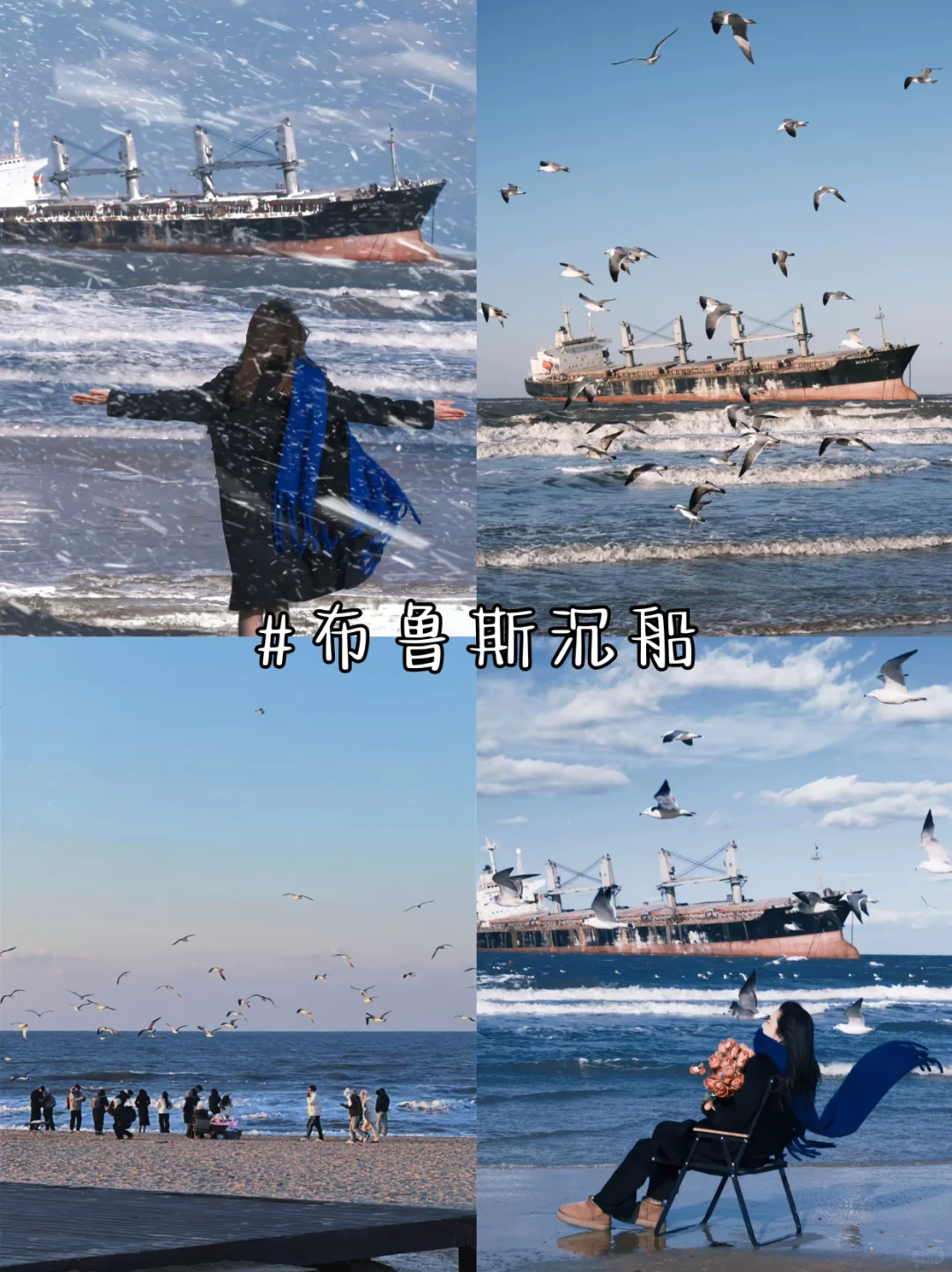 下了雪的威海 到底有多绝‼️