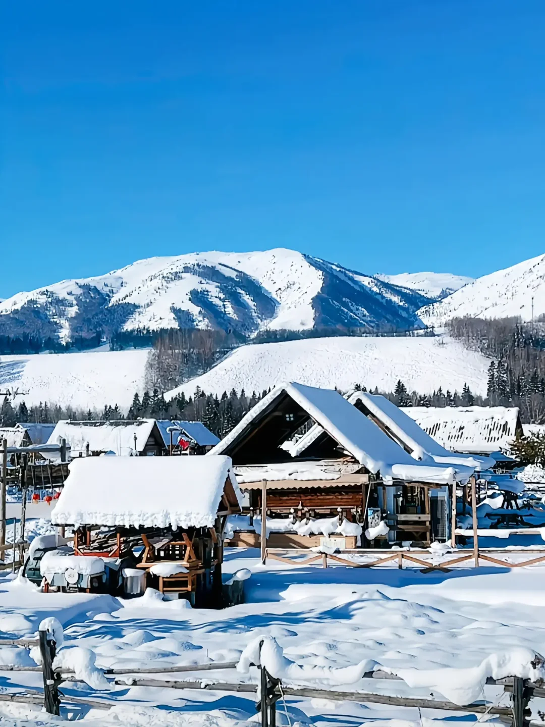 ✨冬日仙境漫游阿勒泰5日纯白之旅组队中