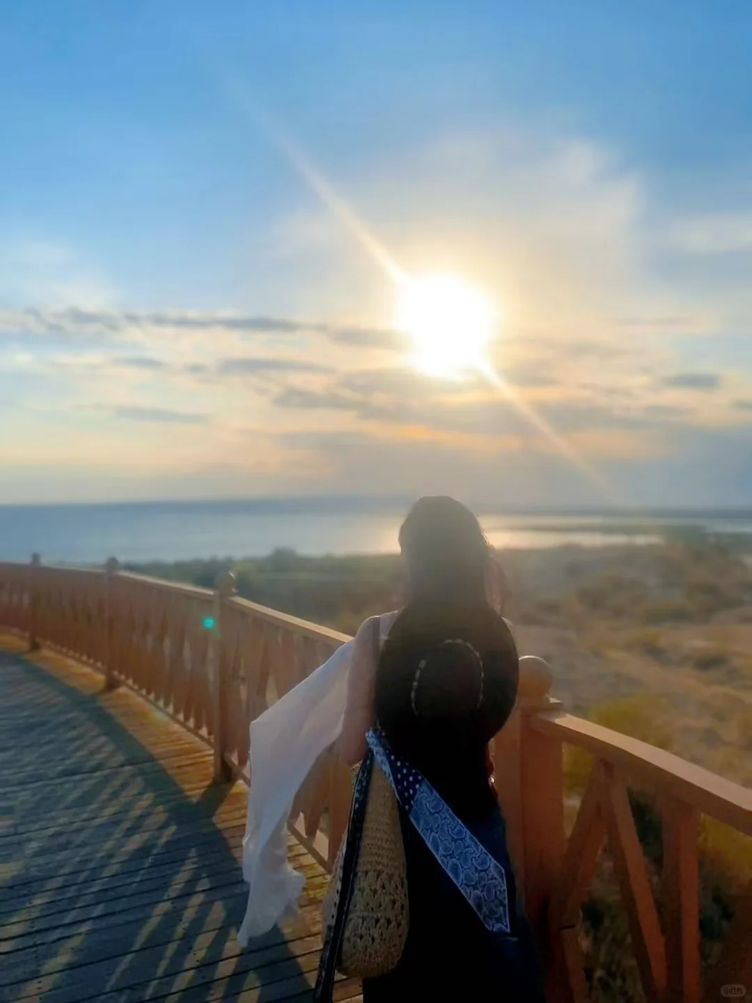 風光太耀眼😎🌻