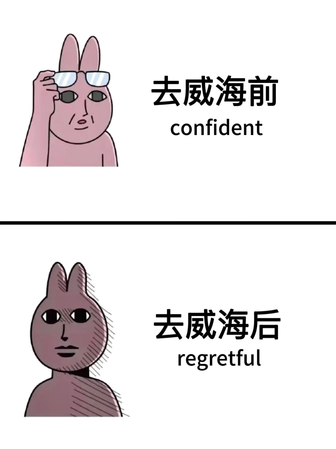 为什么我去威海旅游之前没刷到这篇😅