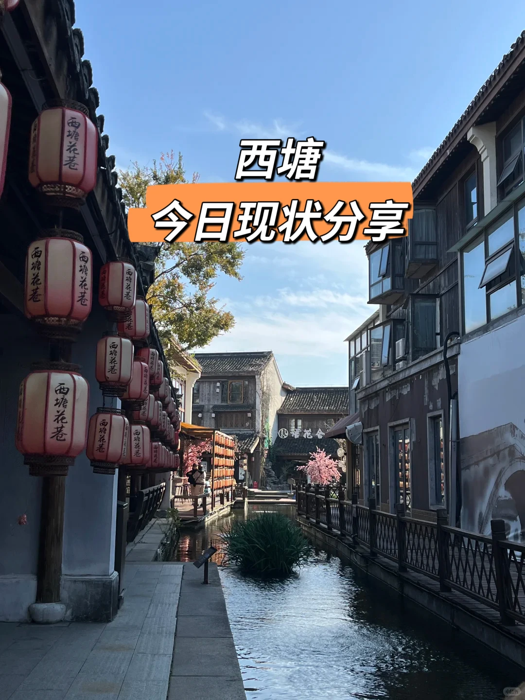西塘不踩雷攻略🍶十一月必打卡景点TOP！
