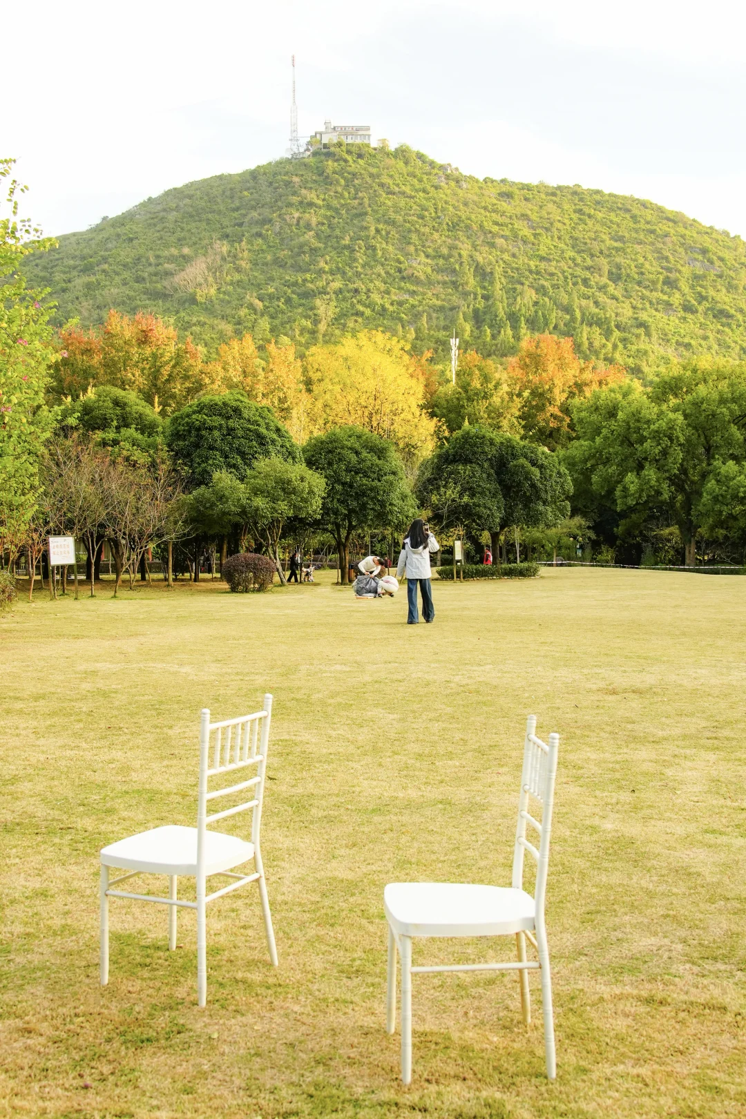可以错过门票贵的景点，但别错过免费植物园