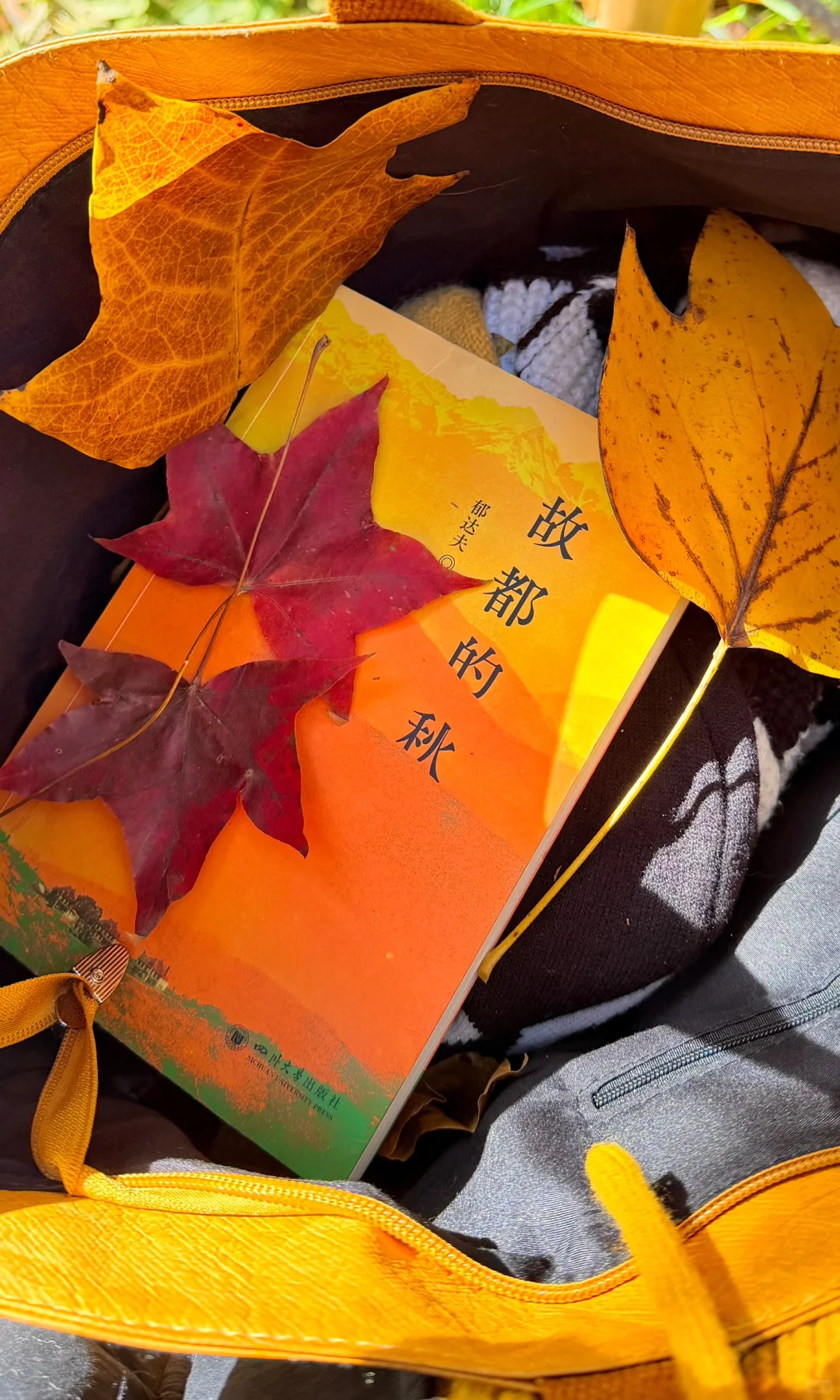 2025.11.9｜北京植物园杀疯了！！！！！！！！！！！！！