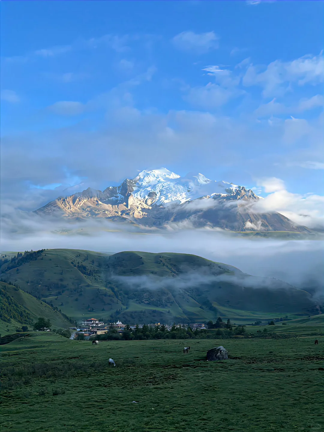 总要去一趟川西吧🏔️