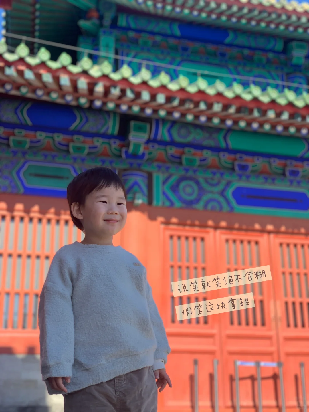 天坛的古松林，漫溢的秋意与松影