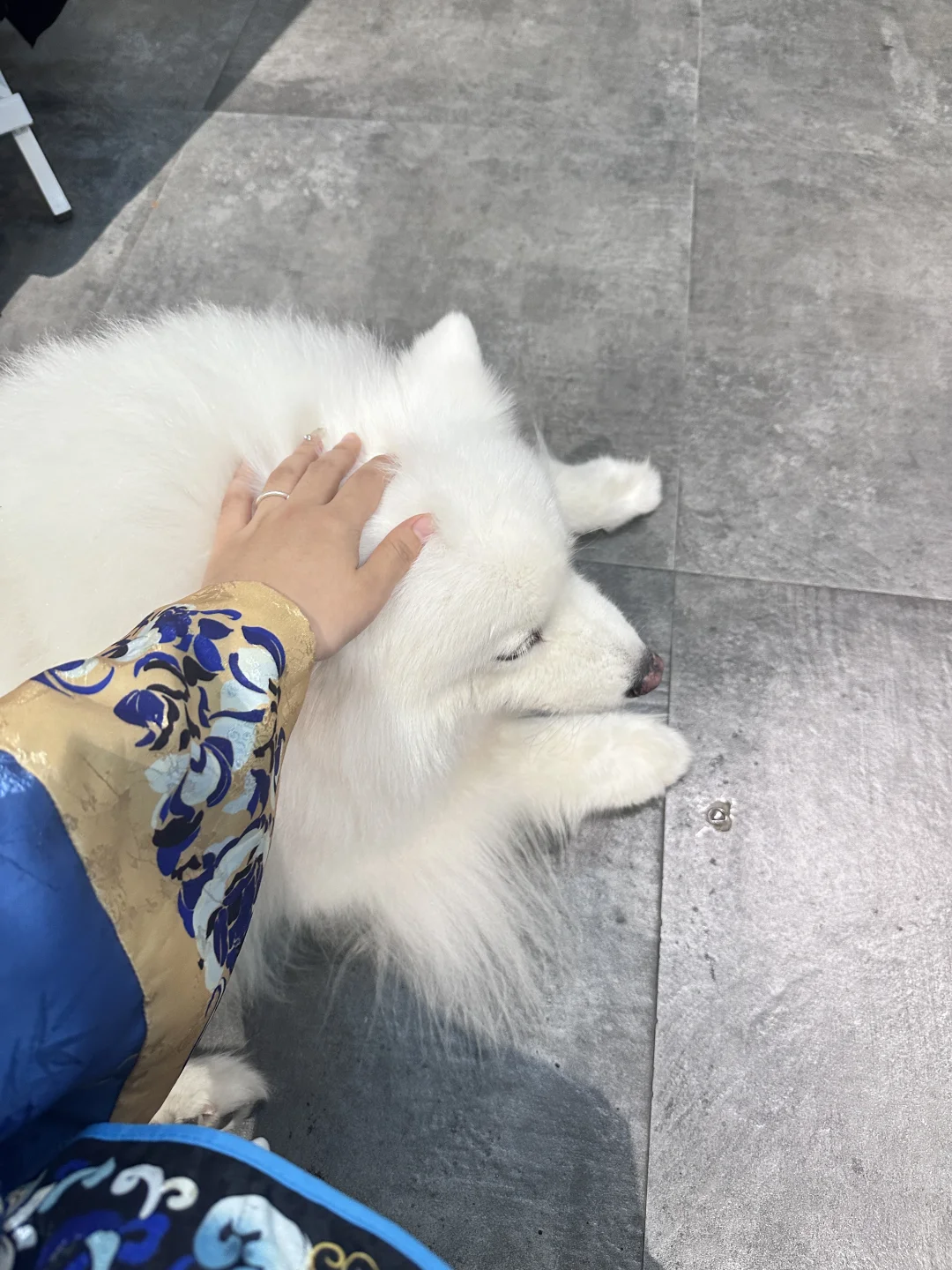 旅游第四天-来福州喽