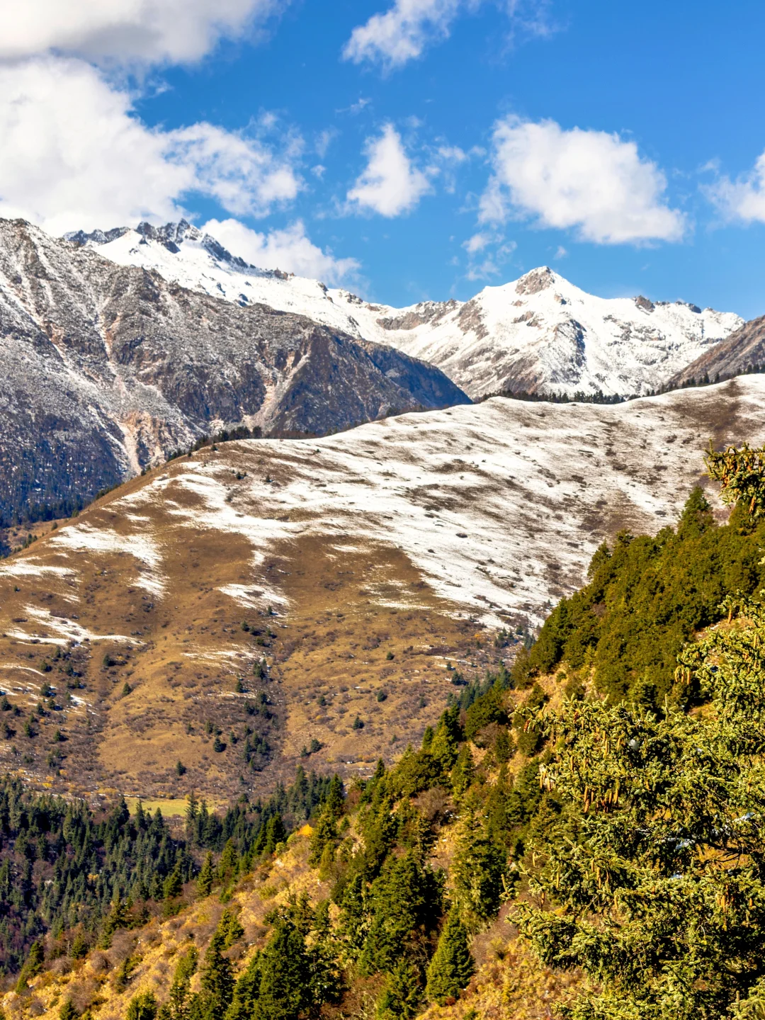 比九寨沟丰满20倍，这里的彩林是亚洲之蕞