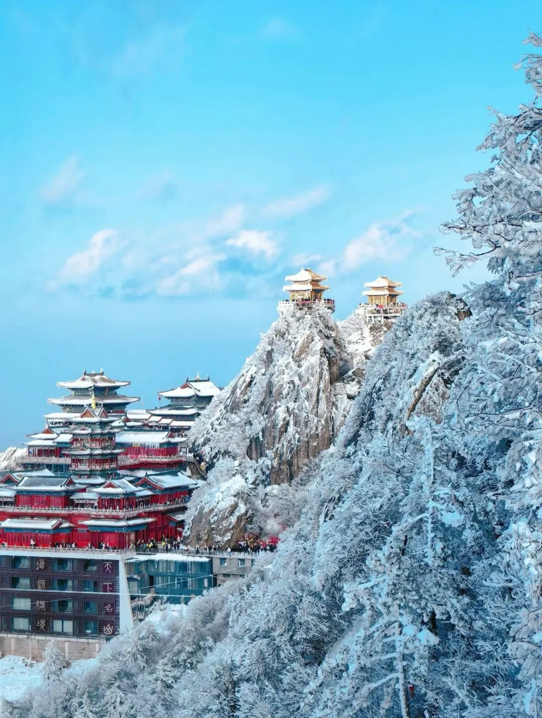 【洛阳旅游攻略 | 学生党自由行】