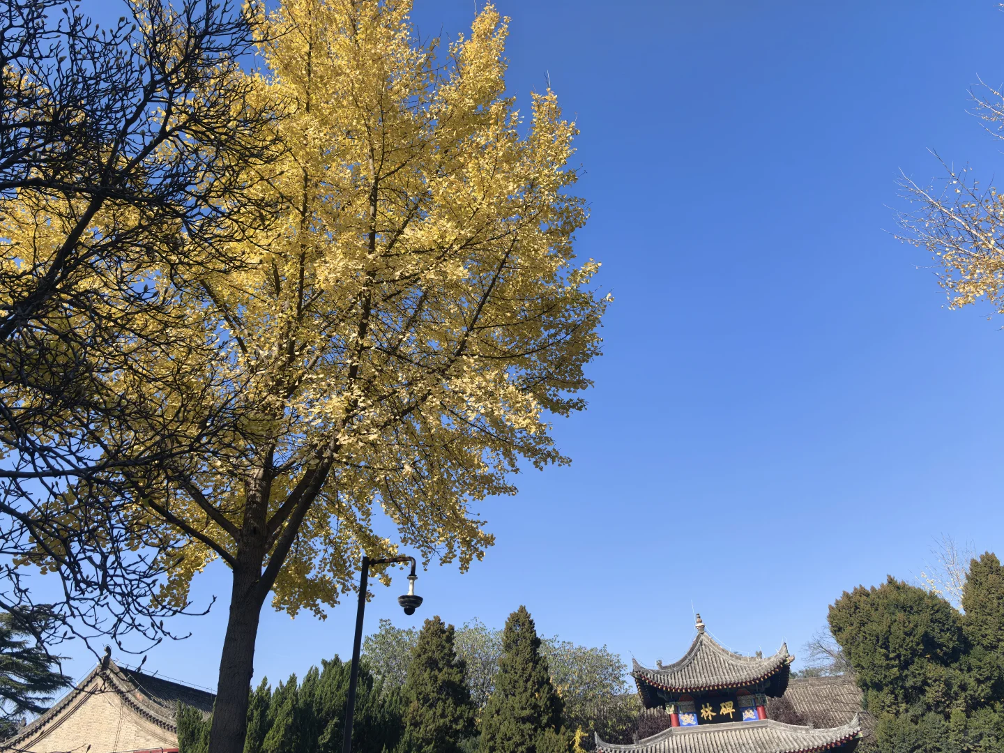 碑林博物馆半日游