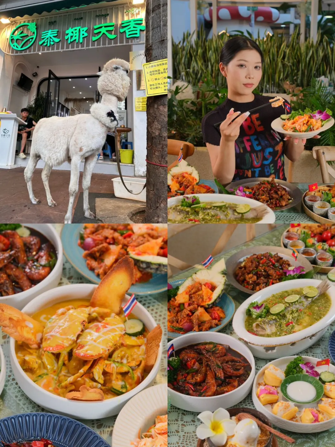 西双版纳旅游攻略（景点）打分版