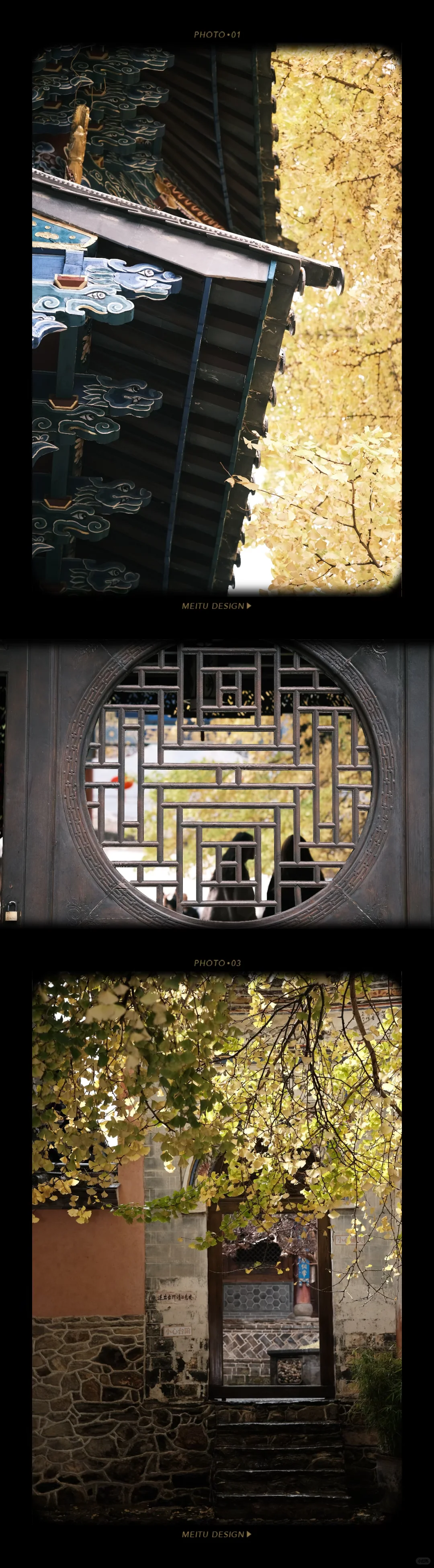 🍁在大理银杏小众景点我拍到了“北平的秋”✨