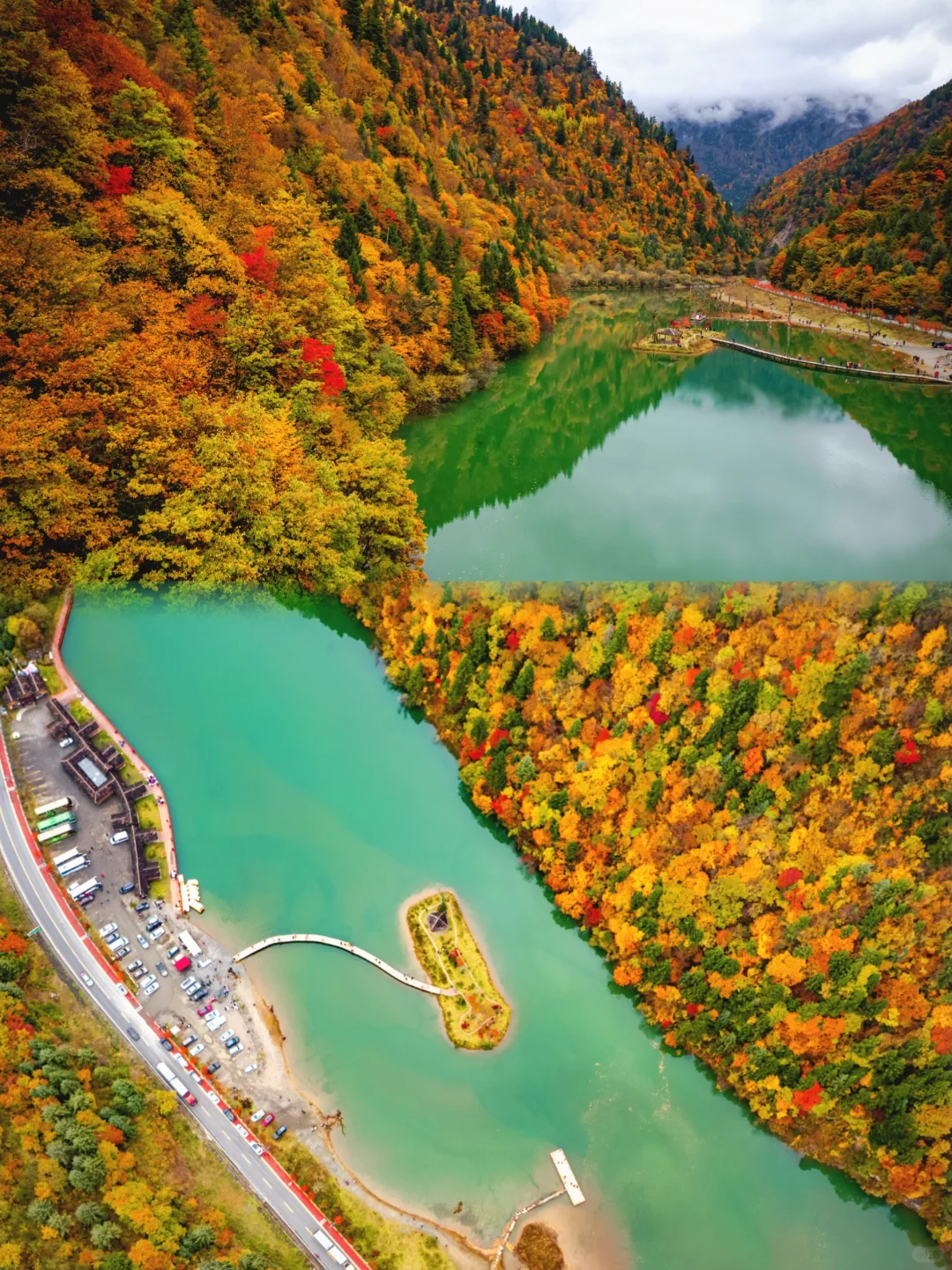 比九寨沟丰满20倍，这里的彩林是亚洲之蕞