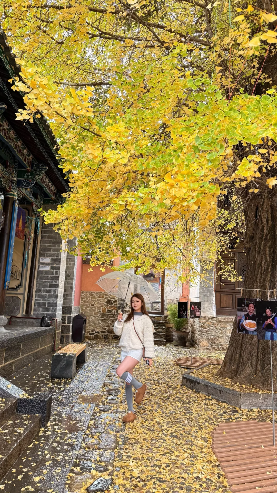 🍁在大理银杏小众景点我拍到了“北平的秋”✨